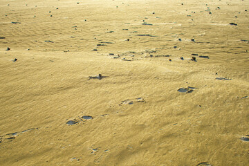 Natural background texture of frozen sand.