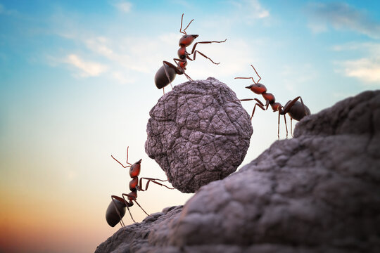 Ants are pushing heavy boulder up on hill. Teamwork concept. 3D rendered illustration.