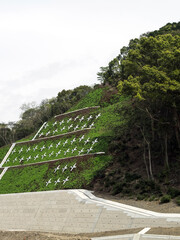 山間の造成工事