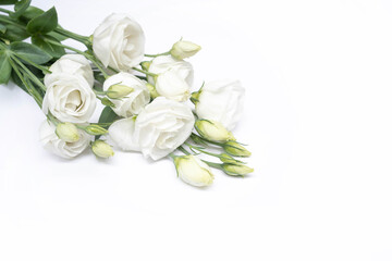 Branch white flowers isolated on white. eustoma.