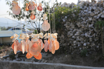 fish maws hanging in a local market in Lau Fau Shan 9 March 2013