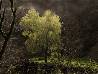 pr&eacute; en automne