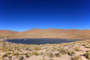 Fototapeta na wymiar High altitude lagoon in northwest Argentina