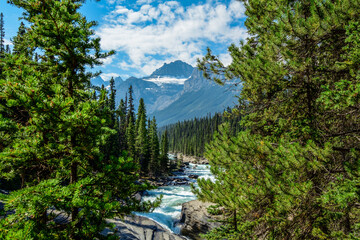 Obraz na płótnie Canvas stunning river view in canadian Rockies