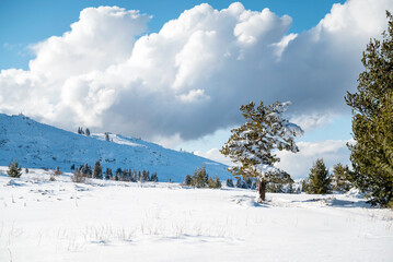 Fototapeta na wymiar Beautiful Winter Mountain Landscape with Fog and Clouds .Vitosha Mountain, Bulgaria 