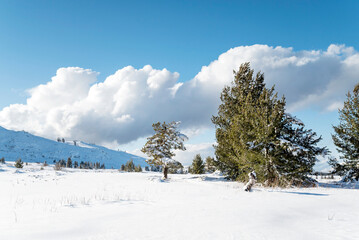 Beautiful  Winter Mountain Landscape with Fog and Clouds  .Vitosha Mountain, Bulgaria 