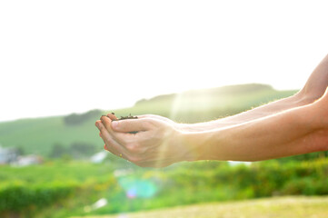 mãos segurando terra conceito de cuidados com a natureza contato com a terra 