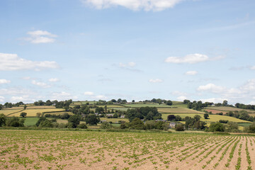 Summertime landscape in the UK.