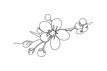 Single one line drawing Cherry tree spring flower. Cherry blossom concept. Continuous line draw design graphic vector illustration.
