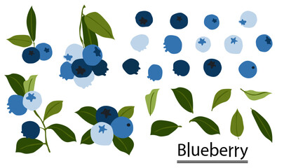 ฺBlueberry on white background.Eps 10 vector.