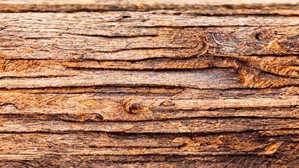 wood texture material design illustration illustration Generative AI Content by Midjourney