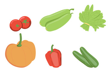 Food cartoon vector icon set. Pumpkin, zucchini, tomatoes, cucumbers, a bunch of greens, bell peppers