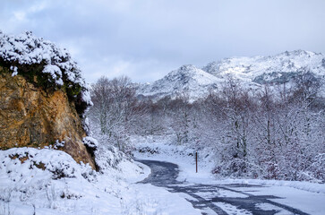 Fototapeta na wymiar snowy landscape of a snow covered mountain road in Galicia, Spain.