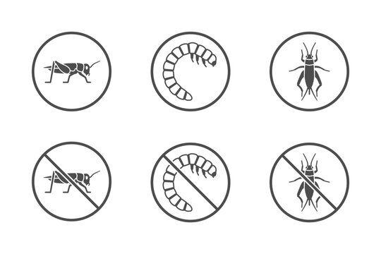 House cricket and mealworm icons
