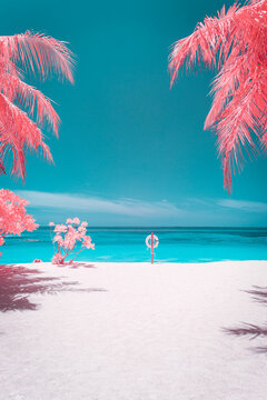 beach with palm trees and sea in infrared