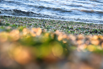 Nordsee © Barbara deVincent