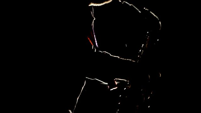 a man blows a saxophone against the light. Contours of the body, contours of the tool