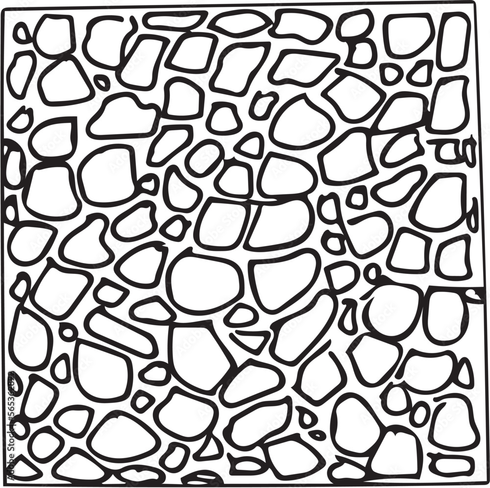 Poster hand drawn organic pattern in black and white. the pattern is based on the pattern on the plant.