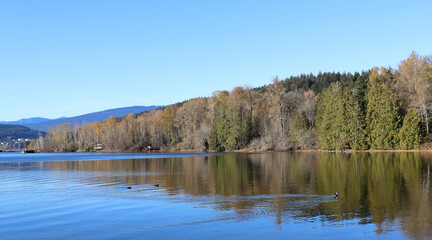 Peaceful high tide in the ocean bay