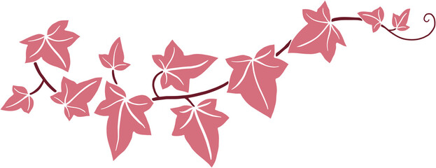 Simplicity ivy freehand drawing flat design.