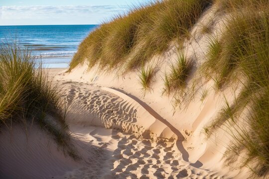 Illustration Photo of Path to the beach on the dunes with footsteps in the sand