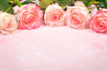 Bouquet of beautiful gentle pale pink roses on textured pink background. Festive mock up. Copy space