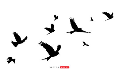 silhouette of a flock of flying birds. vector illustration