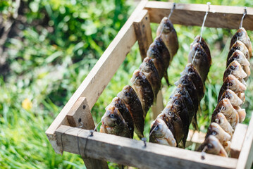 Dried fish on a rope, close-up. Salted fish is dried in the air at home.