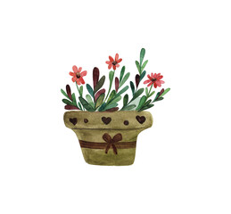 Indoor flower in a pot with bows, home plant with red flowers, watercolor drawing on an isolated white background