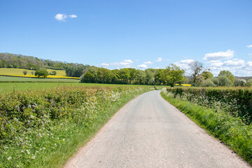 Fototapeta na wymiar Countryside scenery in the UK.