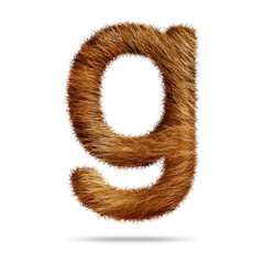 Small alphabet letter g design with brown fur texture