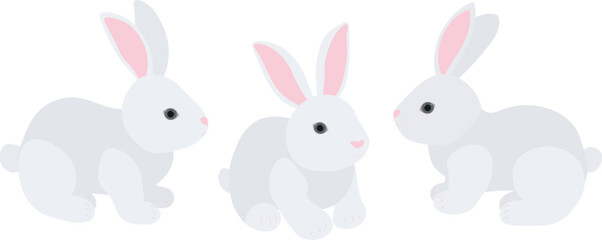 Set cute white rabbit bunny vector illustration