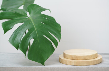 wood podium on table top green monstera tropical plant white space background.promotion beauty...