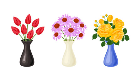 Bouquets of beautiful flowers set. Red tulips, yellow rose flowers and pink echinacea in vases isolated on white background. Vector illustration in cartoon flat style. - obrazy, fototapety, plakaty