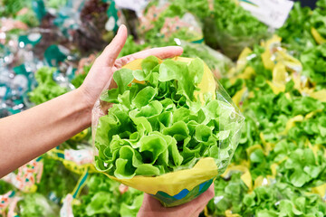 Hands with lettuce leaves in store