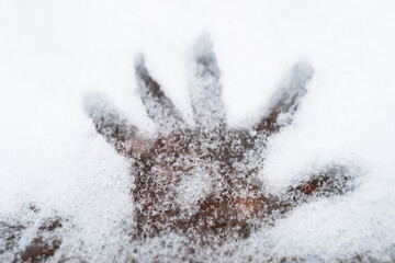 Five fingers hand imprint on fresh winter snow in Novi Sad Serbia