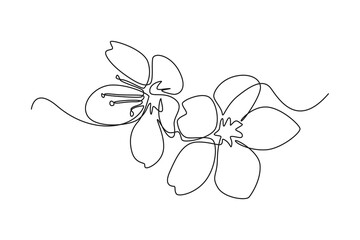 Continuous one line drawing Cherry tree spring flower. Cherry blossom concept. Single line draw design vector graphic illustration.