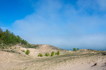 Footsteps and foliage on sandy dunes with a foggy blue sky