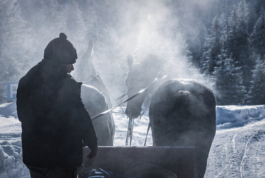 Person on a horse carriage in the mountains on a winter, cold day