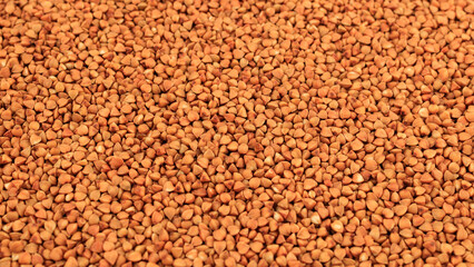 Buckwheat Groats Dry Uncooked Raw Natural Fresh Brown. Roasted buckwheat kernels. Healthy organic food. Background.Top View. Selective focus.