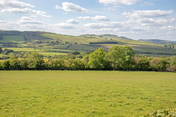 Obraz premium Radnor hills in the Summertime.