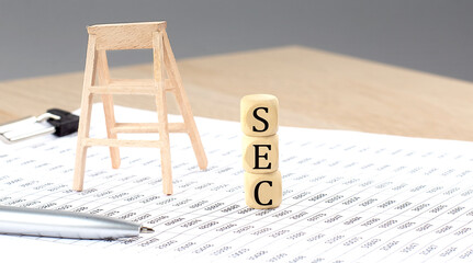 wooden cubes with the word SEC stand on a financial background, business concept.