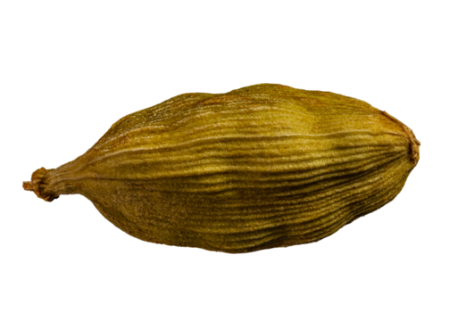 .macro shot of one pod of cardamom green isolated on a black background very close in detail
