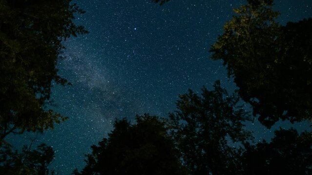 Time-lapse of tree tops as the stars and Milky Way move through the night sky.  Shot in 4K