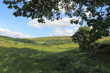 Fototapeta na wymiar Radnor hills in the Summertime.