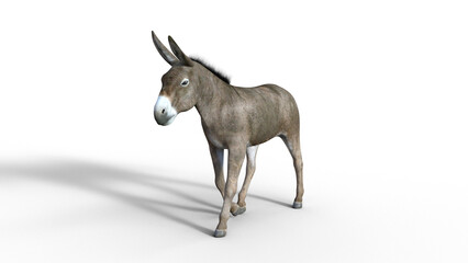 Obraz na płótnie Canvas Donkey 3D