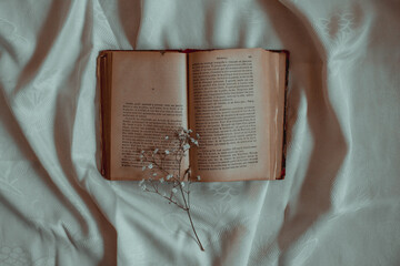 old book and white flower aesthetic