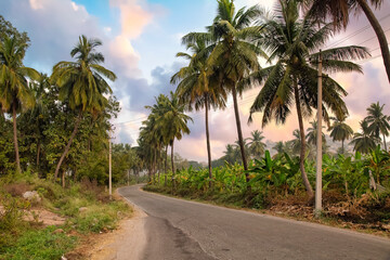 Naklejka na ściany i meble Beautiful Indian village road at Hampi, Karnataka lined with coconut trees at sunset 
