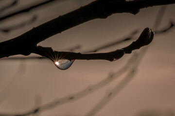 Wassertropfen mit Inhalt