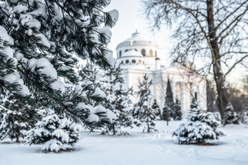 Winter in Pushkin. Fir branch in the snow against the backdrop of the St. Sophia (Ascension) Cathedral in Pushkin, St. Petersburg, Russia